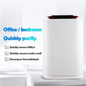 BKJ-300A PM2.5 Display Home Air Purifier