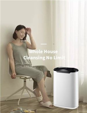 Home International Standard Air Purifier