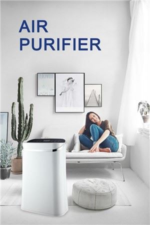 Heitt selja hár duglegur Lonizer loft hreinsiefni fyrir heimili