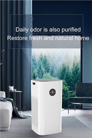 BKJ-90B Health Air Purifier HEPA sía